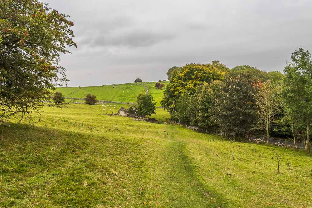 Limestone Way Limestone Way